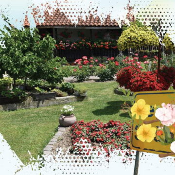 NAJLEPŠE DVORIŠTE OPŠTINE SEČANJ