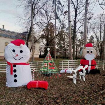 Novogodišnja bajka u Konaku