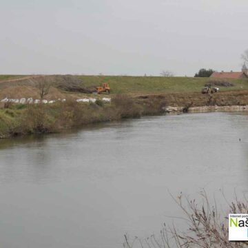 Ojačavanje obale Tamiša