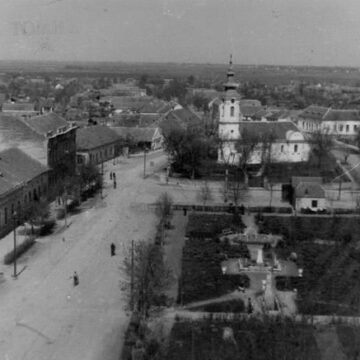 Modoš – Jaša Tomić – monografija