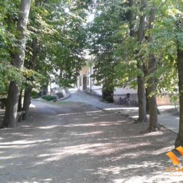 park-u-Konaku_10 Moljac grize stoletni šimšir u Konaku