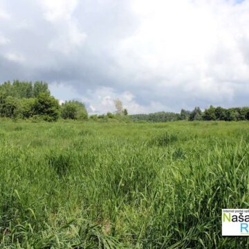 Paščnjački odbor MZ Jaša Tomić