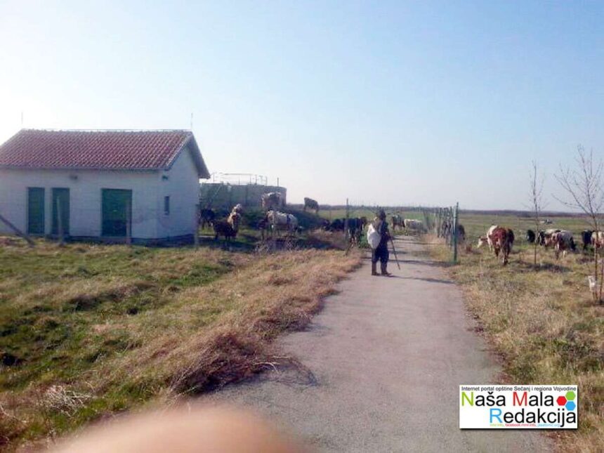 Pašnjački odbor počeo sa radom