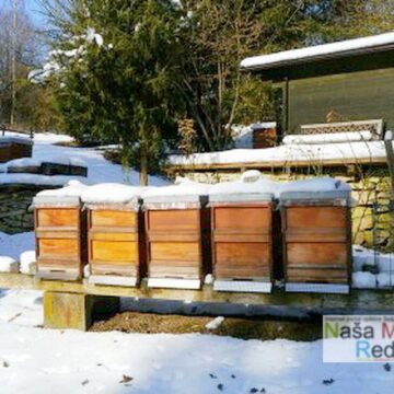 Pčelama zimi posvetiti punu pažnju