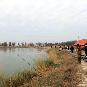 Takmičenje u pecanju štuke