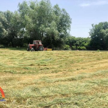plaza_Pesak_01 Košenje trave na plaži “Pesak”