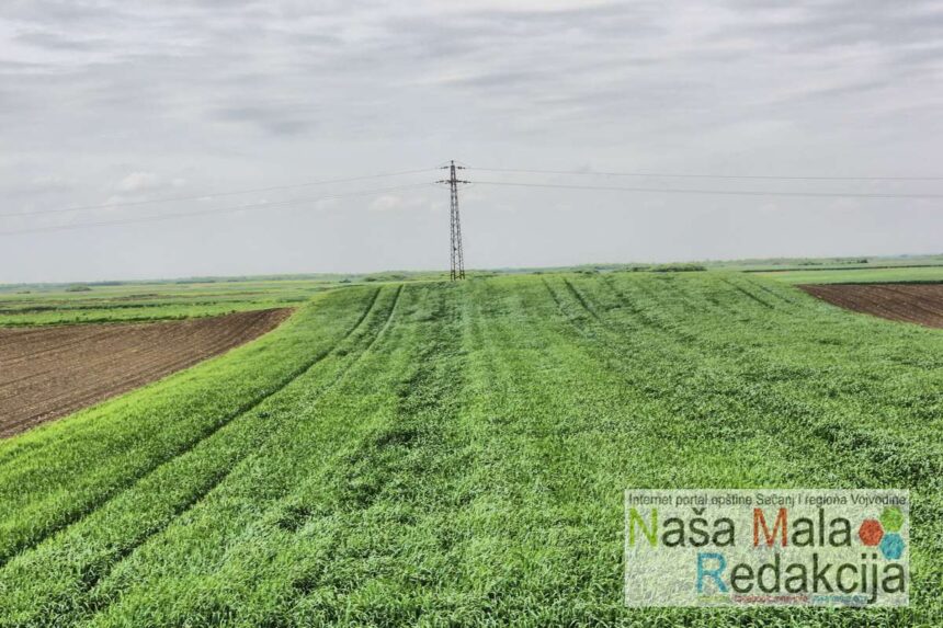 Podrška mladima u ruralnim područjima Vojvodine