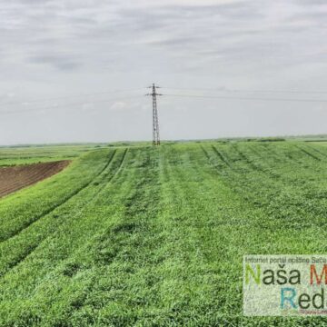 Beskamatni krediti za nabavku đubriva dostupni u 10 banaka