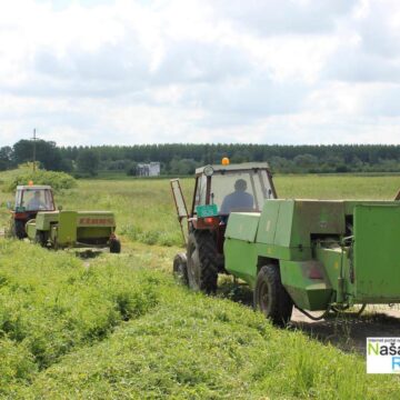 pomoc-stocari-33 Jašinski stočari na delu