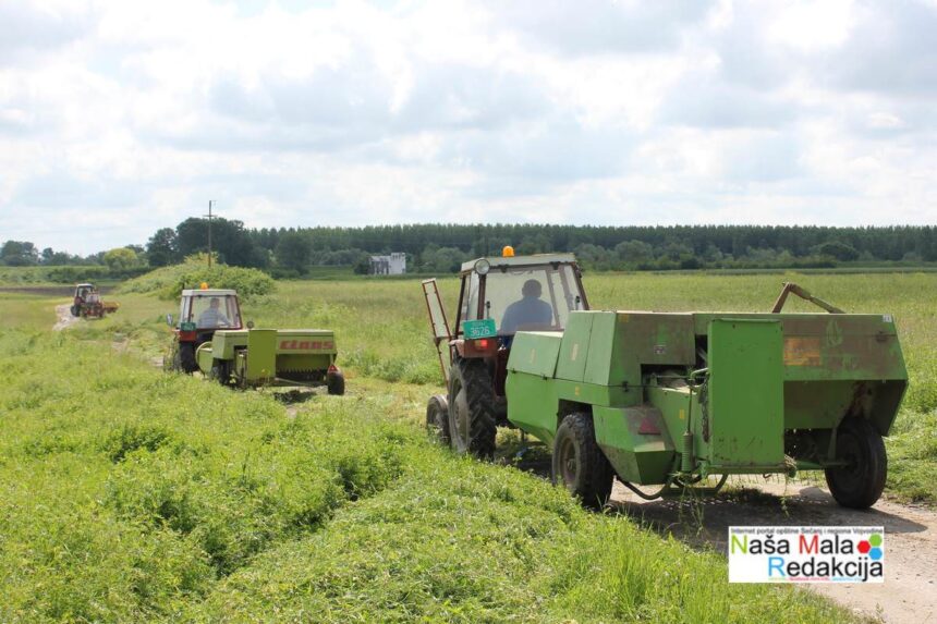 Jašinski stočari na delu