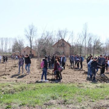Opština Sečanj u akciji „Zasadi drvo“