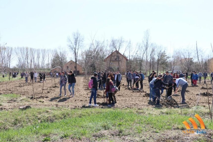 Opština Sečanj u akciji „Zasadi drvo“