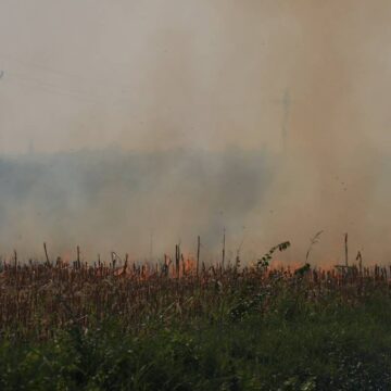 pozari_2 Njive u opštini danima nekontrolisano gore