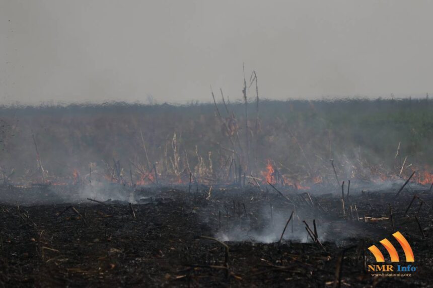 Velike kazne za svako paljenje vatre na otvorenom prostoru