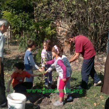 Dečja nedelja – priredba