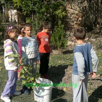 Završena Dečja nedelja