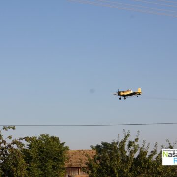 Zaprašivanje komaraca