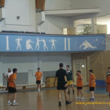 Trofej grada Novog Sada