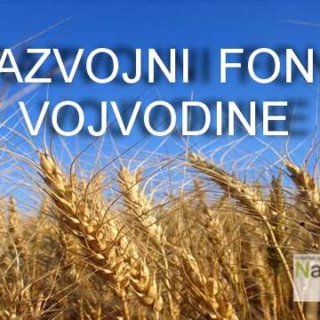 rfv Raspisani novi konkursi Razvojnog fonda AP Vojvodine