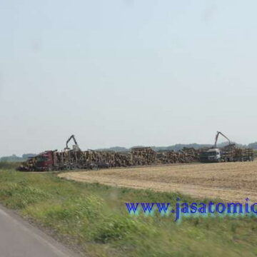 Drvoseče ponovo u Jaši