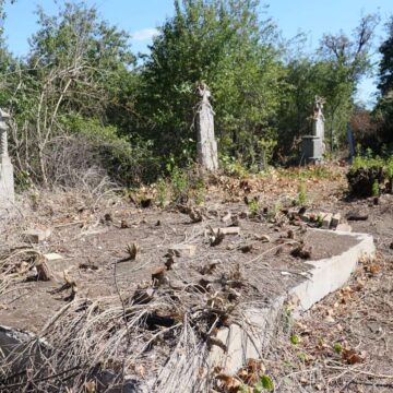 Uređenje starog nemačkog groblja u Sečnju