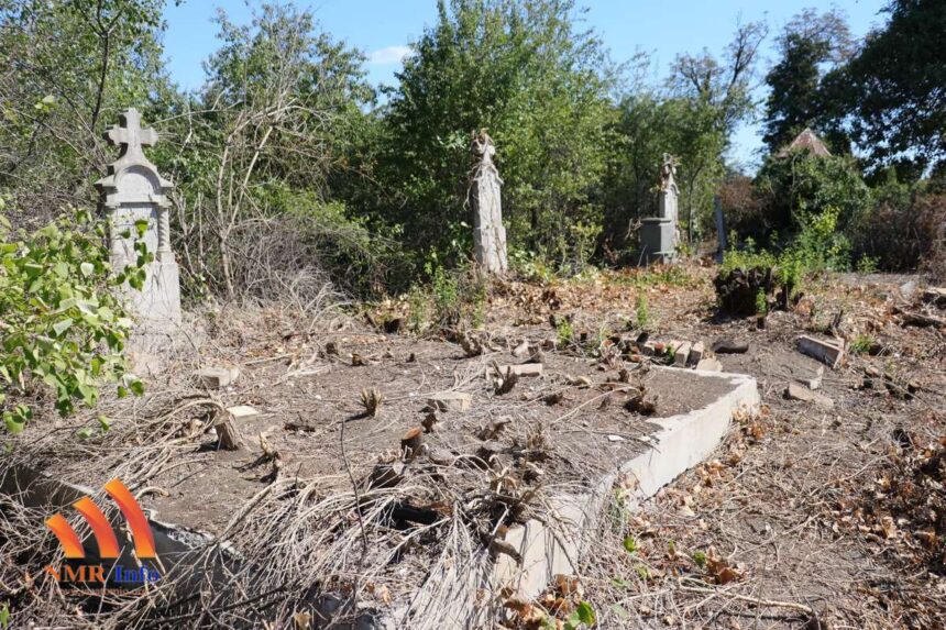 Uređenje starog nemačkog groblja u Sečnju