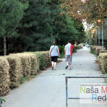 Uništen šimšir u centru Jaše