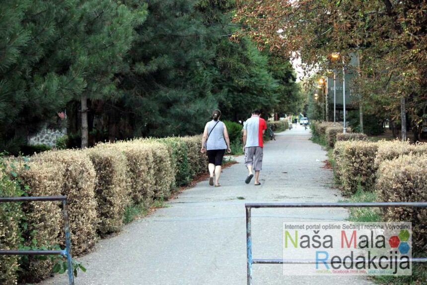 Uništen šimšir u centru Jaše