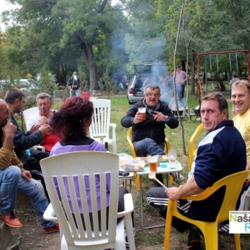 Tamiški kotlić 2013