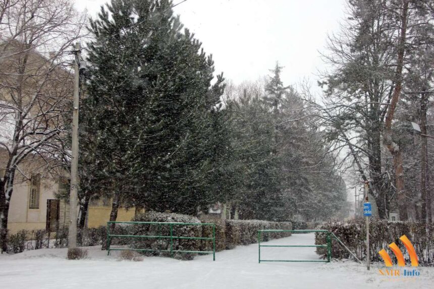 Jaša Tomić – pada sneg!