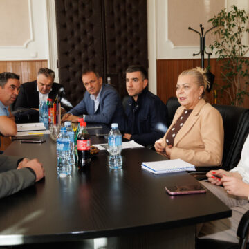 aleksandra sofronijevic aleksandra sofronijevic