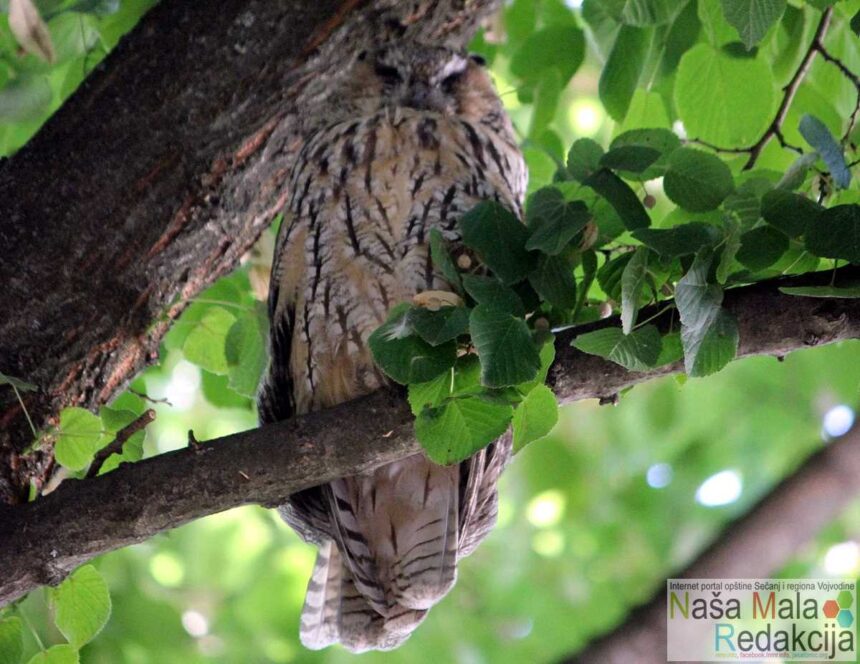 Sove su ponovo na okupu