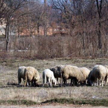 Dozvole za poljoprivrednike