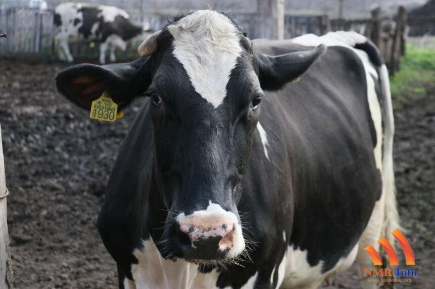 Konkurs za nabavku novih traktora i opreme za stočare uz podršku Svetske banke otvoren do 23. februara