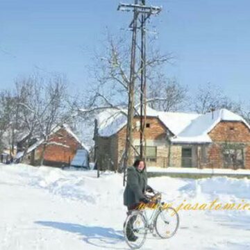 Vredni kao Šurjanci