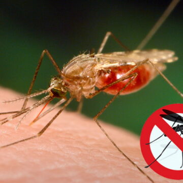 suzbijanje_komaraca OBAVEŠTENJE O TRETMANU SUZBIJANJA ODRASLIH KOMARACA UREĐAJIMA SA ZEMLJE I IZ VAZDUHA