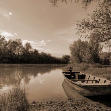 tamis_1 POSLEDNJI SKELEDŽIJA