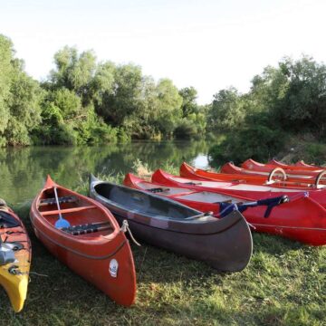 24. Tamiška regata Jaša Tomić – Pančevo