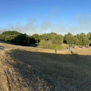 Regata na Tamišu je više od događaja – to je način života