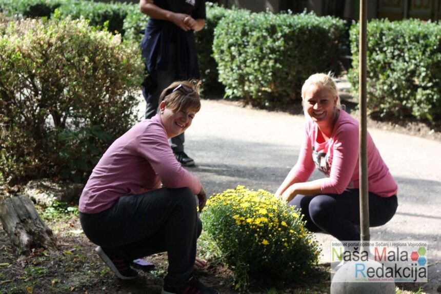 Veliko spremanje Jaše