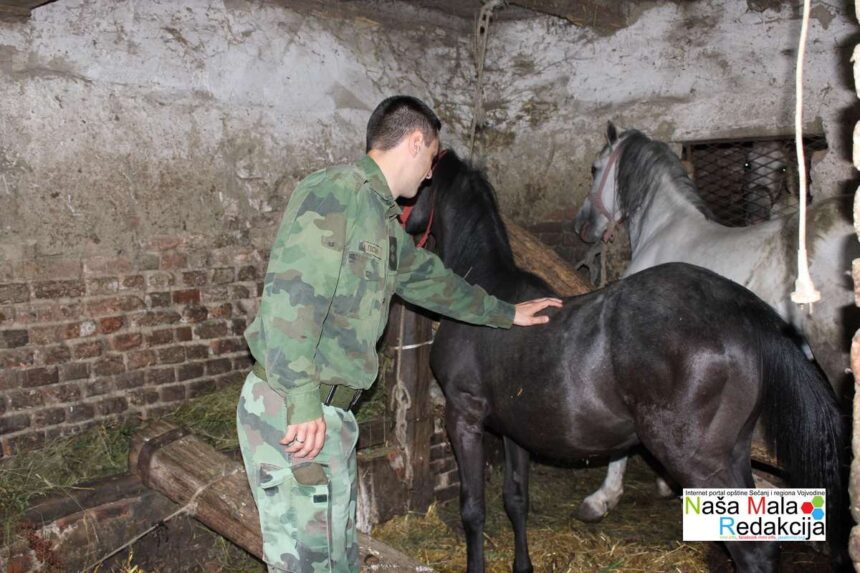 Vojni lekar i veterinar na selu