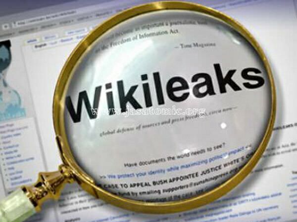 wikileaks Oboren sajt Vikiliksa