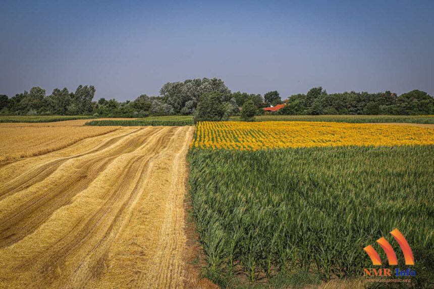 Odluka o raspisivanju javnog oglasa i oglas za davanje u zakup i na korišćenje poljoprivrednog zemljišta u svojini Republike Srbije u opštini Sečanj – 1. krug