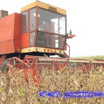 CREATOR: gd-jpeg v1.0 (using IJG JPEG v62), quality = 90 Pravljenje kule od peska – čista nauka