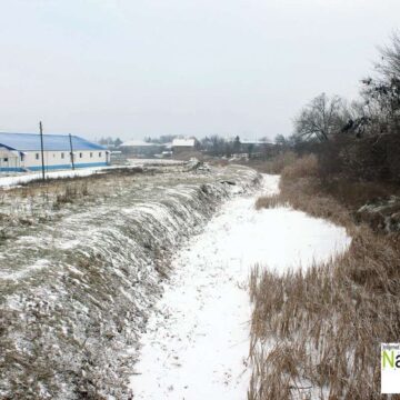 Jaša Tomić – januar 2016.