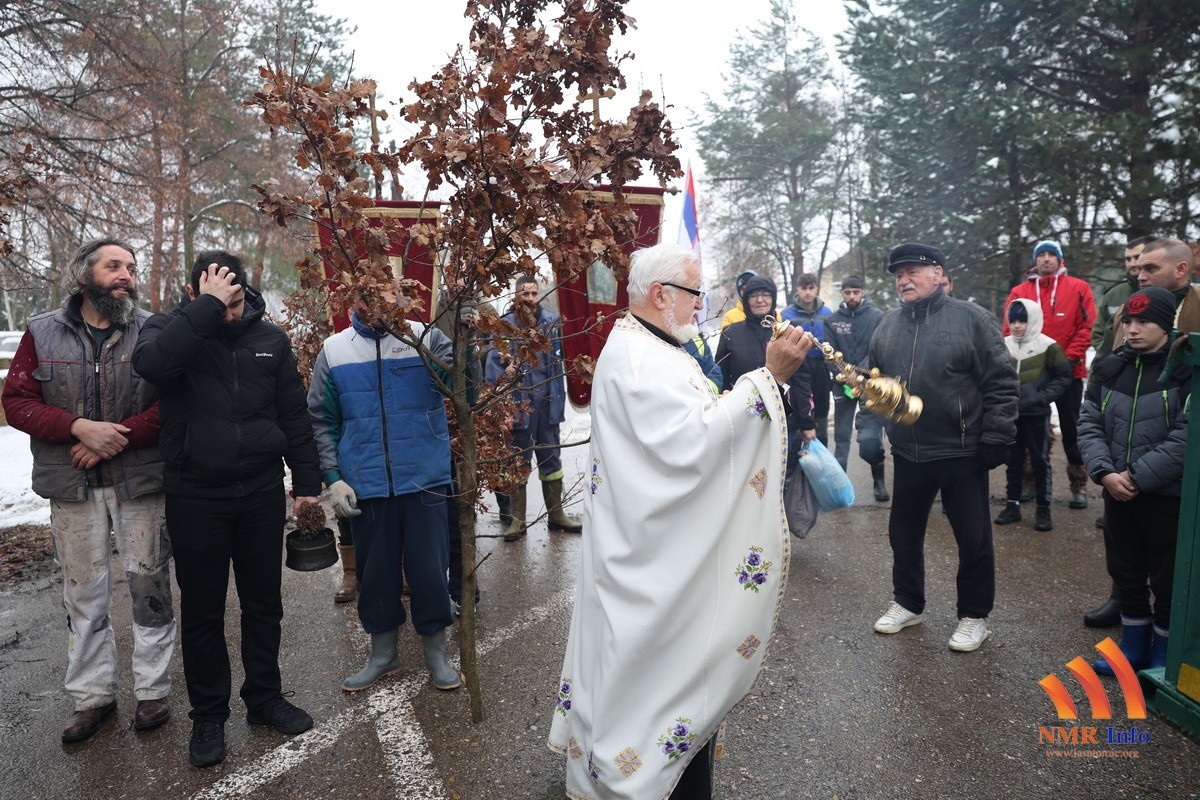 badnjak jasa tomic 28