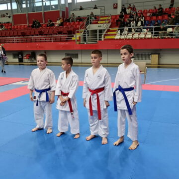 kk radnicki sutjeska 1