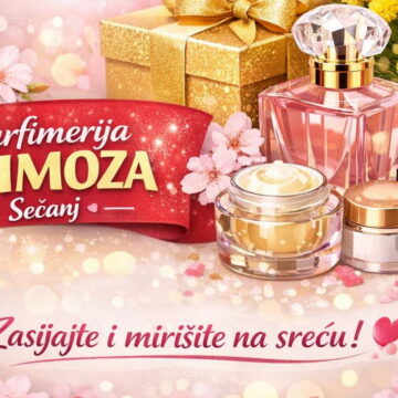 mimoza secanj