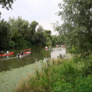 tamiska regata 02