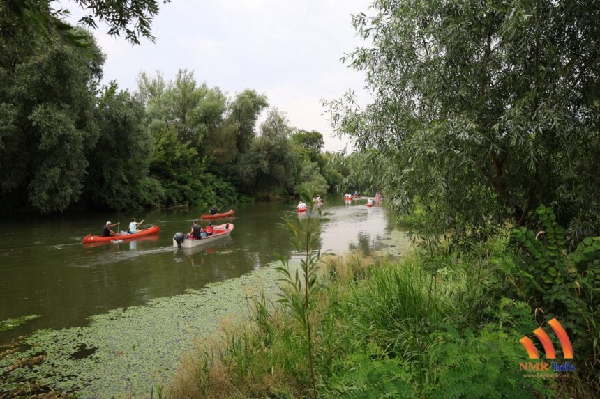 tamiska regata 02